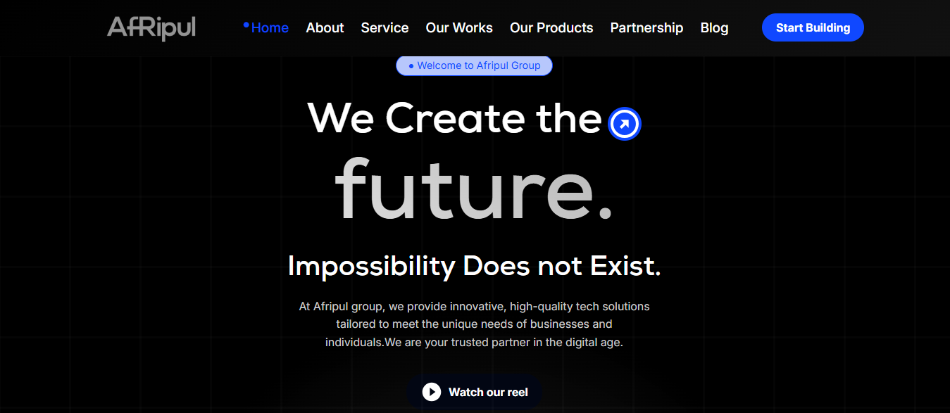 Afripul Group Website